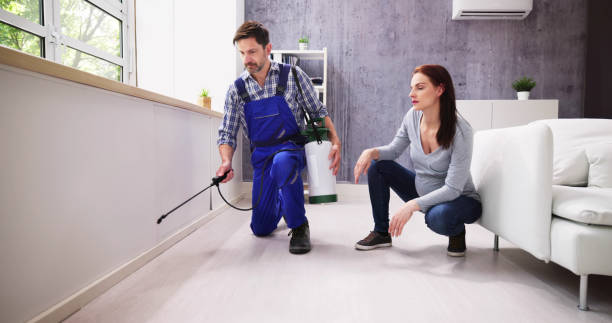 Best Residential Pest Control  in Briar Chapel, NC